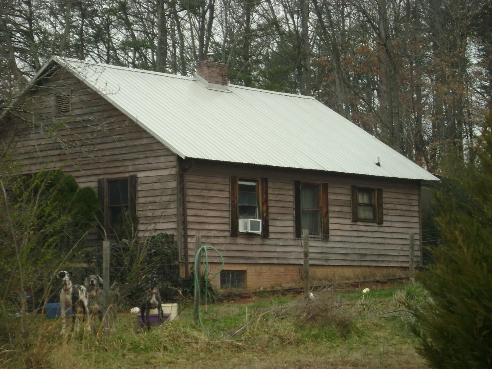 White metal roof on an old wood sided farmhouse, from a Asphalt Shingle Roof Repair job in Emigrant